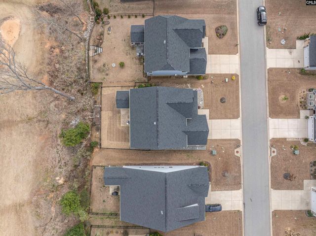 248 Laurelbrook Drive, Chapin, SC 29036