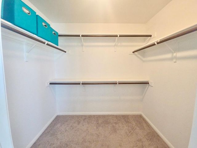 10400 Alemoor DR, Austin, TX 78747