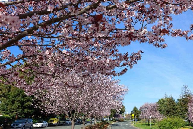 130 Lakeshore Ct, Richmond, CA 94804