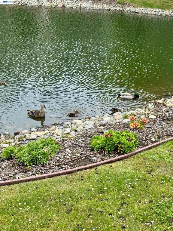 Image 50 of property listing at 130 Lakeshore Ct, Richmond, CA 94804