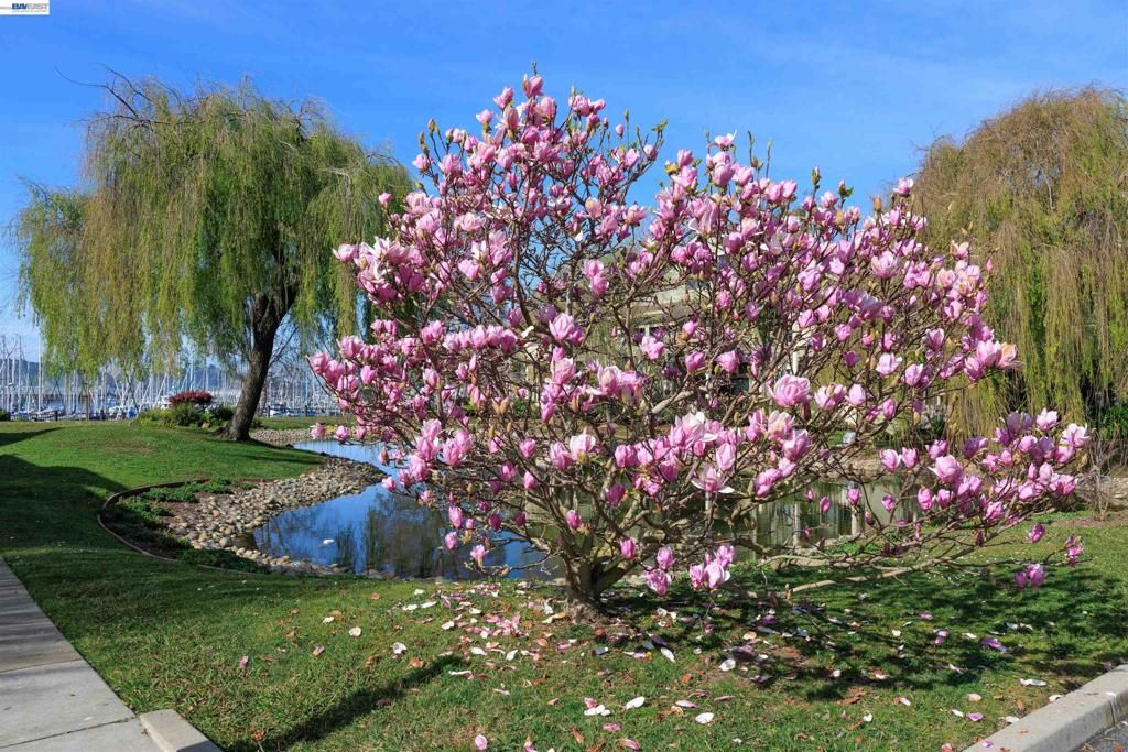 Image 54 of property listing at 130 Lakeshore Ct, Richmond, CA 94804