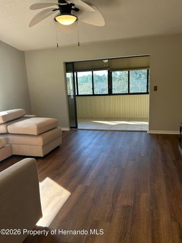 6403 River Lodge Lane, Weeki Wachee, FL 34607