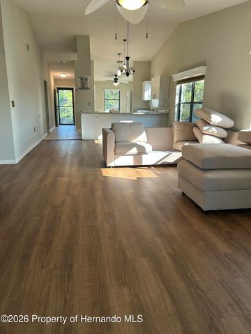 6403 River Lodge Lane, Weeki Wachee, FL 34607