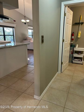 6403 River Lodge Lane, Weeki Wachee, FL 34607