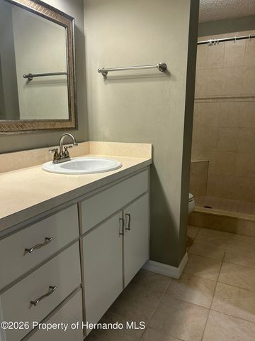 6403 River Lodge Lane, Weeki Wachee, FL 34607