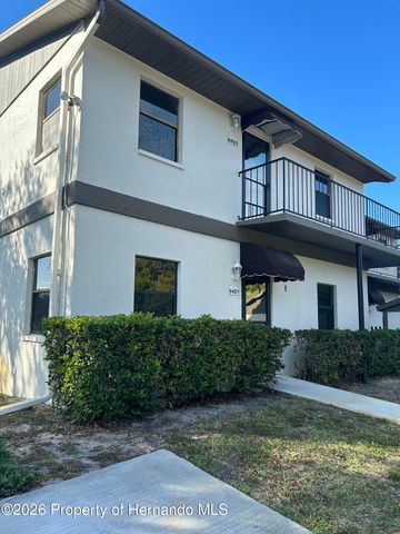 6403 River Lodge Lane, Weeki Wachee, FL 34607