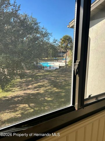 6403 River Lodge Lane, Weeki Wachee, FL 34607