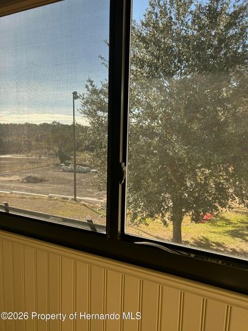 6403 River Lodge Lane, Weeki Wachee, FL 34607