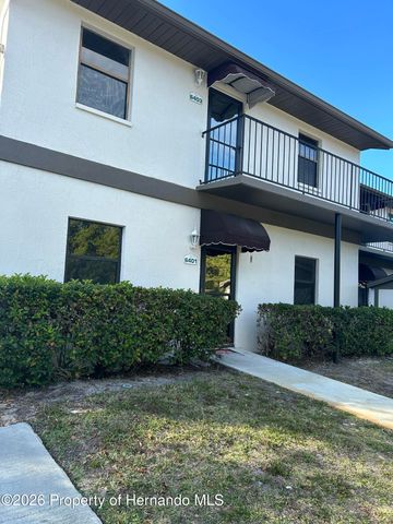 6403 River Lodge Lane, Weeki Wachee, FL 34607