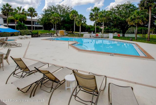 6403 River Lodge Lane, Weeki Wachee, FL 34607