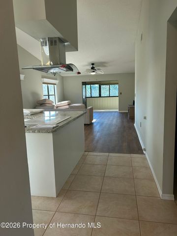 6403 River Lodge Lane, Weeki Wachee, FL 34607