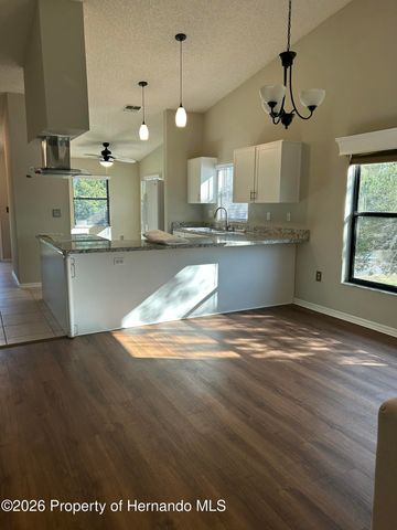 6403 River Lodge Lane, Weeki Wachee, FL 34607