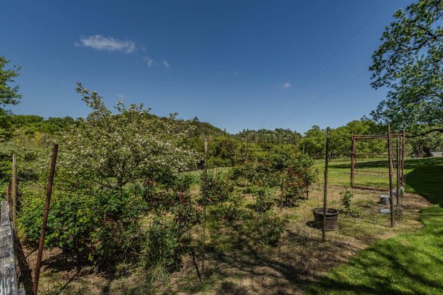 19160 American Flat Rd, Fiddletown, CA 95629