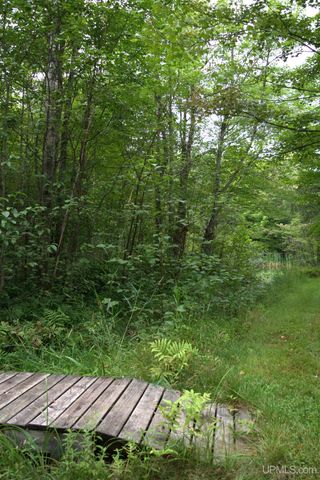 24411 Upper Point Mills Road, Hancock, MI 49930