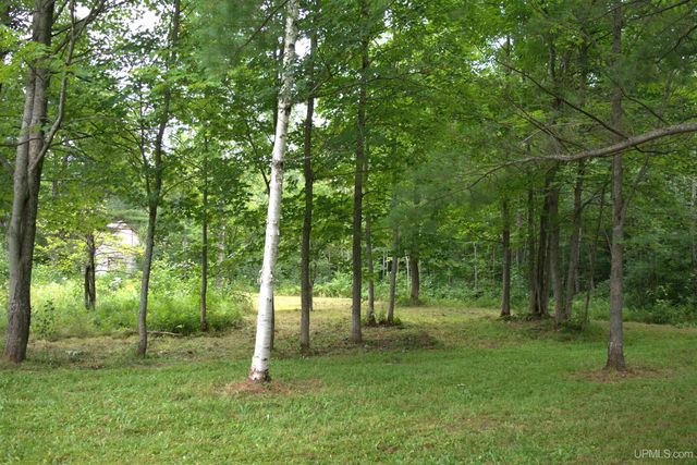 24411 Upper Point Mills Road, Hancock, MI 49930