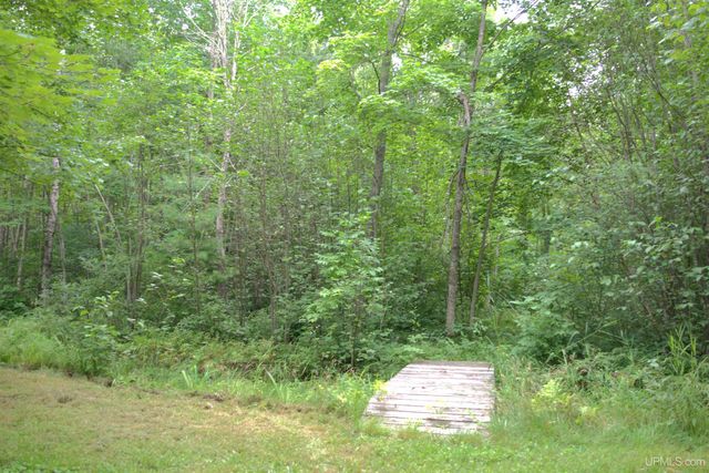 24411 Upper Point Mills Road, Hancock, MI 49930