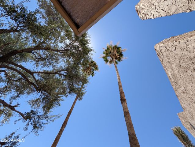 5650 N 78TH Place, Scottsdale, AZ 85250