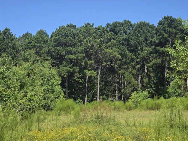 9703 Roda Drive, Conroe, TX 77303