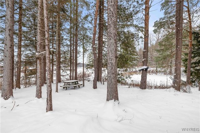 2040 Schwab Road, Sheldon, NY 14167