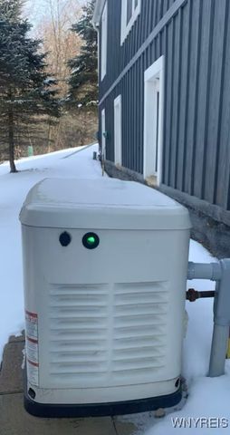 5556 Bryant Hill Road, Ellicottville, NY 14731