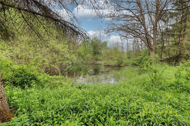 5556 Bryant Hill Road, Ellicottville, NY 14731