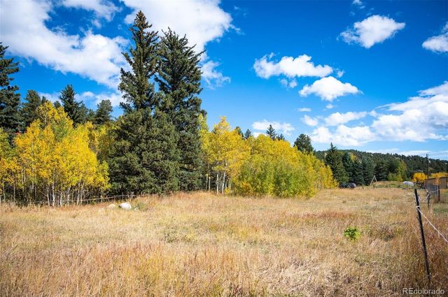 531 Caribou Road, Nederland, CO 80466