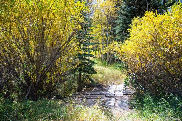 531 Caribou Road, Nederland, CO 80466