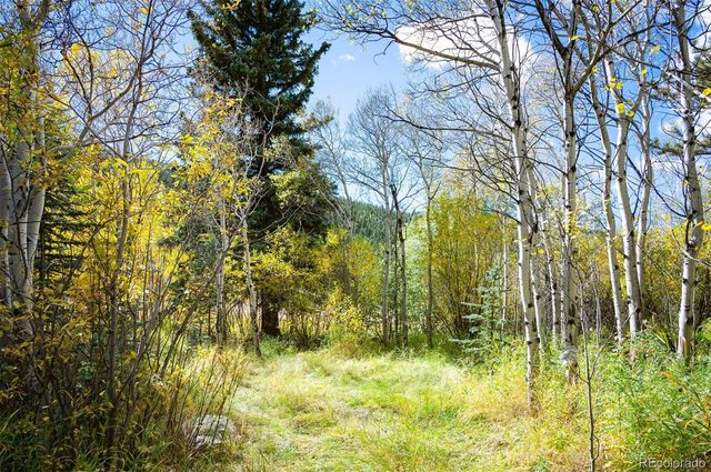 531 Caribou Road, Nederland, CO 80466