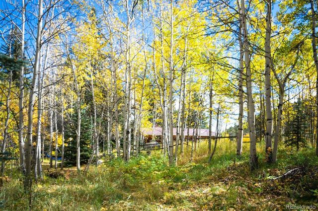 531 Caribou Road, Nederland, CO 80466