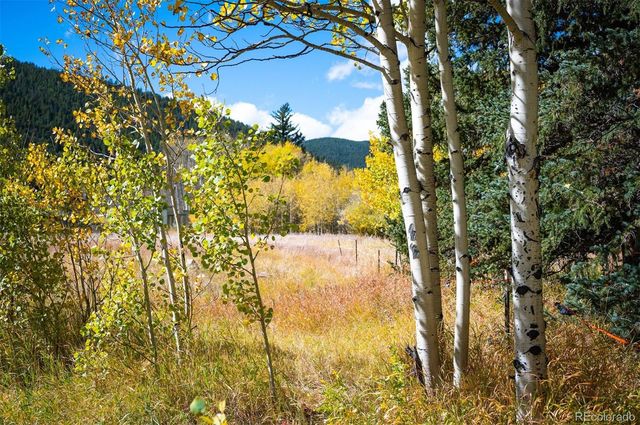 531 Caribou Road, Nederland, CO 80466