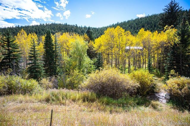 531 Caribou Road, Nederland, CO 80466