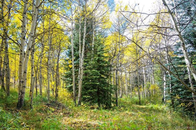 531 Caribou Road, Nederland, CO 80466