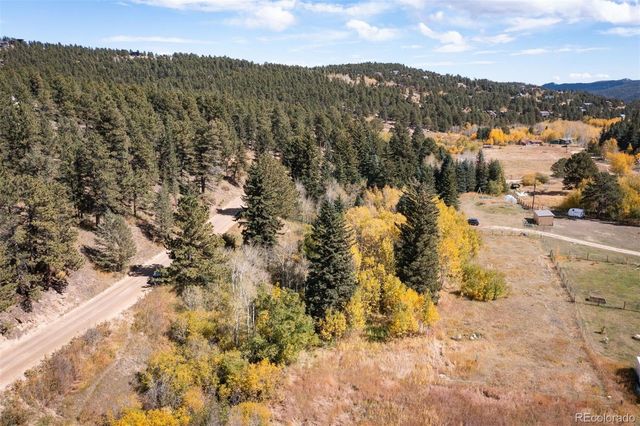 531 Caribou Road, Nederland, CO 80466