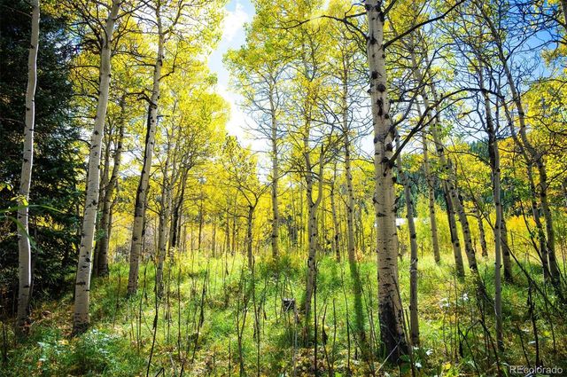 531 Caribou Road, Nederland, CO 80466