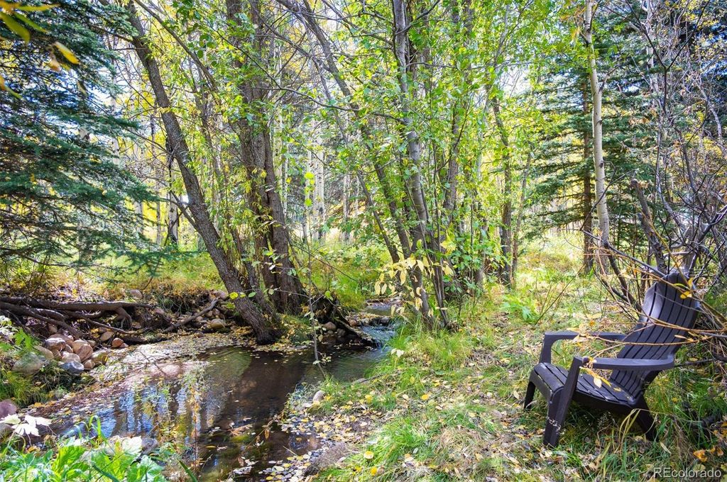 531 Caribou Road, Nederland, CO 80466