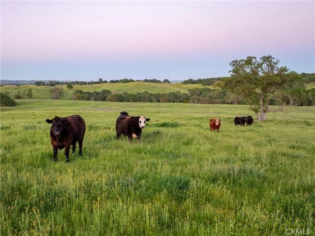 6125 El Pomar, Templeton, CA 93465