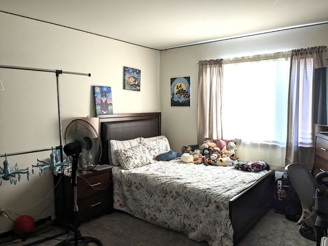 1703 W Mansard Lane 103, Mount Prospect, IL 60056