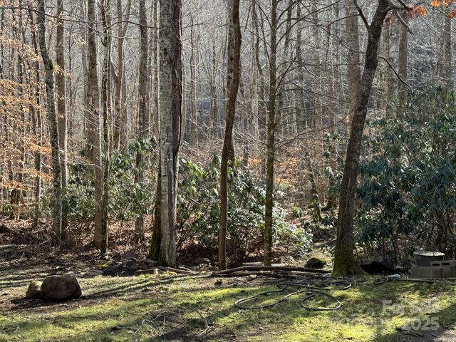 80 Larkspur Lane, Cullowhee, NC 28723