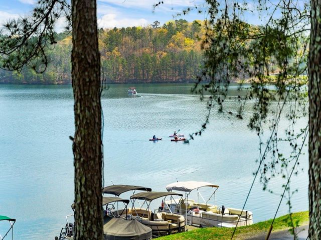 113 Elder Court, Waleska, GA 30183