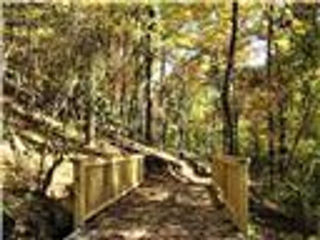 113 Elder Court, Waleska, GA 30183