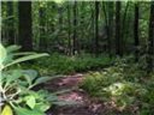 113 Elder Court, Waleska, GA 30183