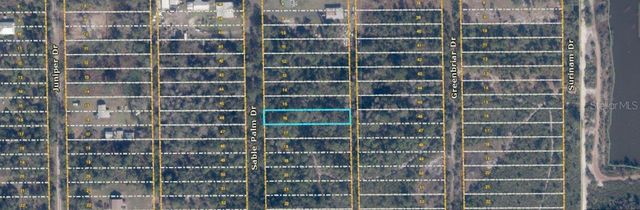 1033 SABLE PALM DRIVE, Christmas, FL 32709