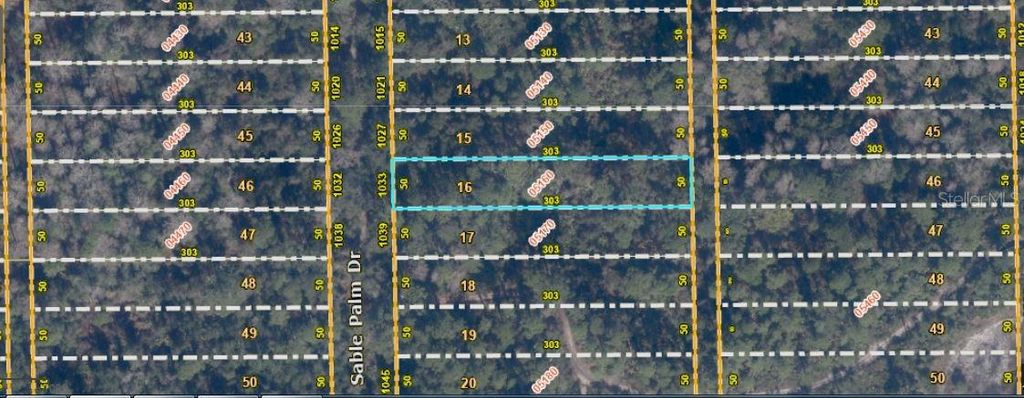 1033 SABLE PALM DRIVE, Christmas, FL 32709