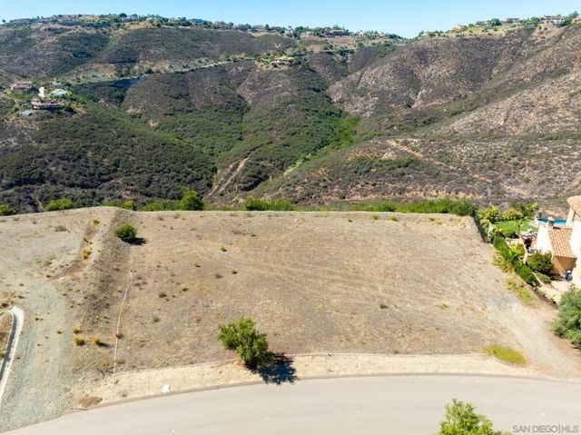 17928 El Brazo, Rancho Santa Fe, CA 92067