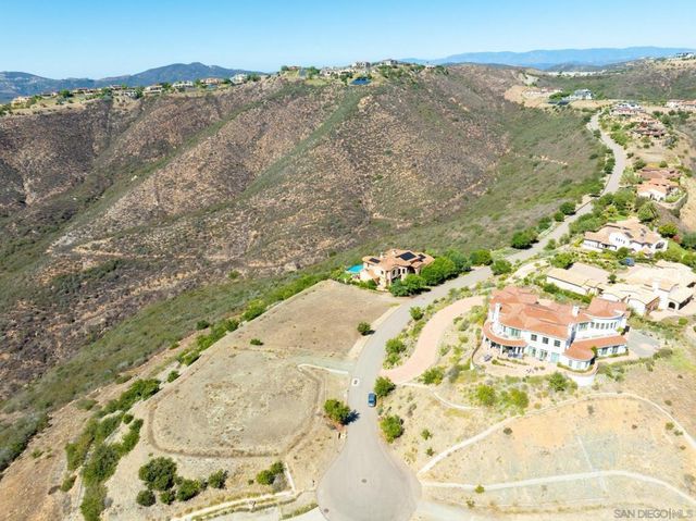 17928 El Brazo, Rancho Santa Fe, CA 92067
