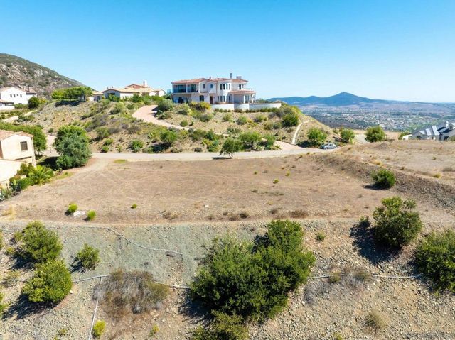 17928 El Brazo, Rancho Santa Fe, CA 92067