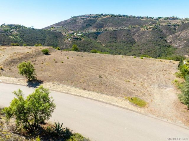 17928 El Brazo, Rancho Santa Fe, CA 92067