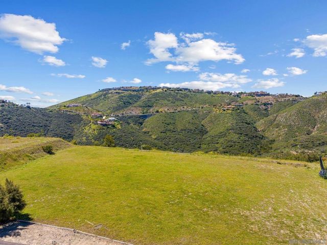 17928 El Brazo, Rancho Santa Fe, CA 92067