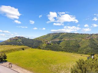 17928 El Brazo, Rancho Santa Fe, CA 92067