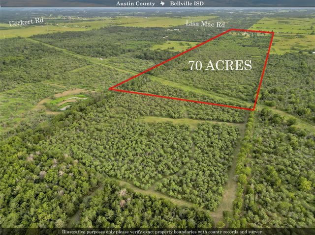 868 Lisa Mae Road, Bellville, TX 77418